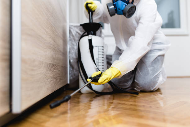Best Affordable Pest Control Services  in Bay City, MI