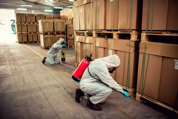 Reliable Bay City, MI Pest Control Solutions