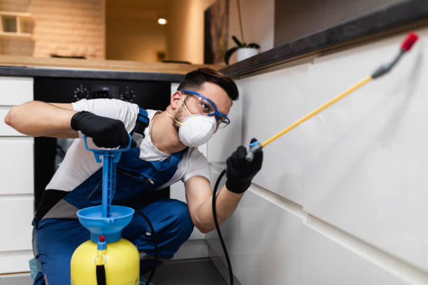 Best Cockroach Control Services  in Bay City, MI