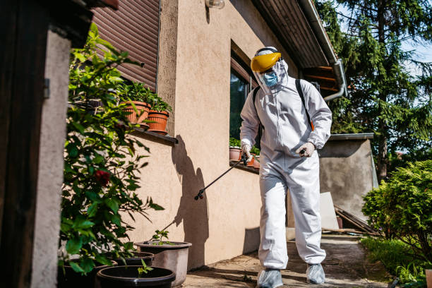 Best Pest Control Cost  in Bay City, MI
