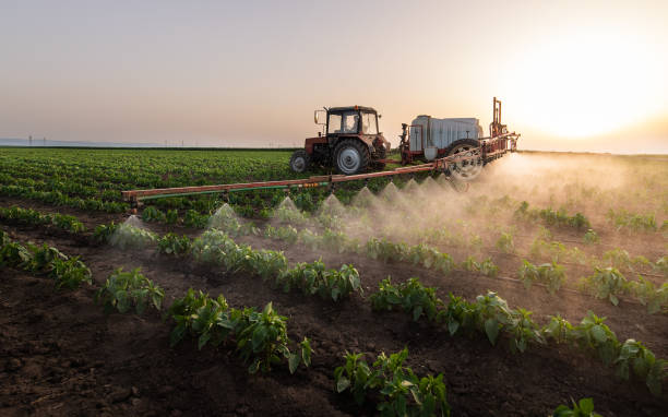 Best Commercial Pest Control Services  in Bay City, MI