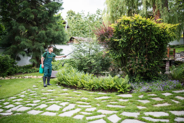 Reliable Bay City, MI Pest Control Solutions