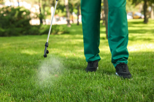 Best Affordable Pest Control Services  in Bay City, MI
