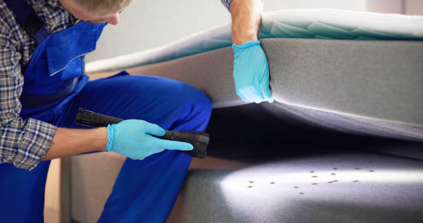 Flea Control Services in Bay City, MI