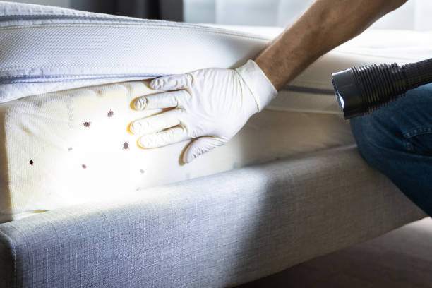 Best Pest Removal Services  in Bay City, MI