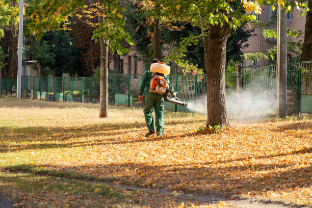 Best Mosquito Control Services  in Bay City, MI