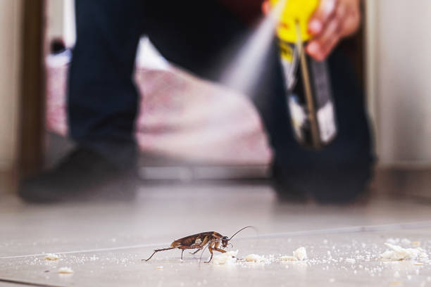 Best Termite Control Services  in Bay City, MI