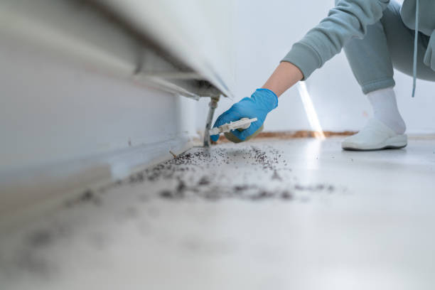 Best Pest Control Treatment  in Bay City, MI